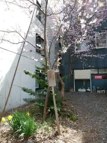 札幌諏訪神社の自然