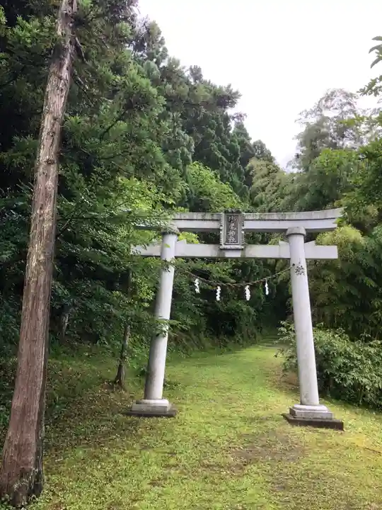 牛尾神社(新潟県)