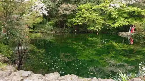 富士山本宮浅間大社の庭園