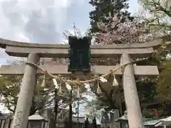 玉前神社の鳥居