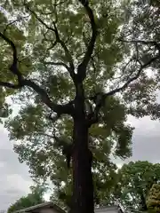 朝日森天満宮(栃木県)