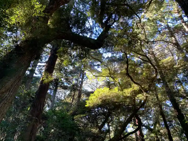 鹿島神宮(茨城県)