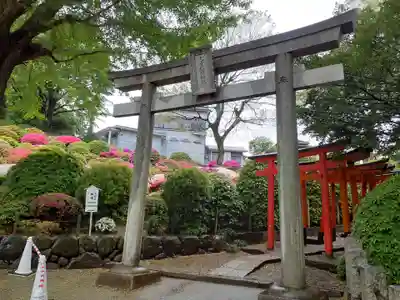 根津神社の鳥居