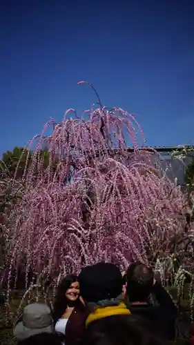 城南宮(京都府)