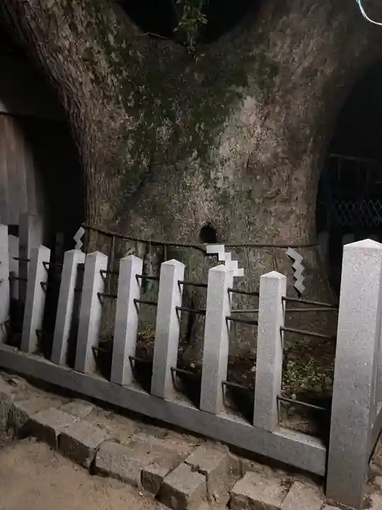 伯光神社の自然