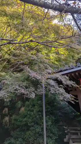 尊勝院(京都府)
