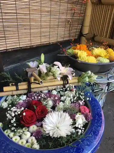 多賀神社の手水舎