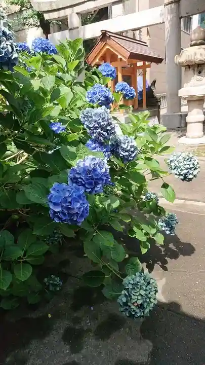 日本橋日枝神社(東京都)