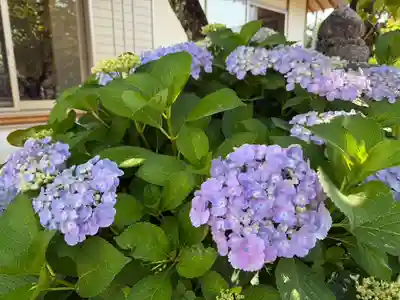 美奈宜神社(福岡県)