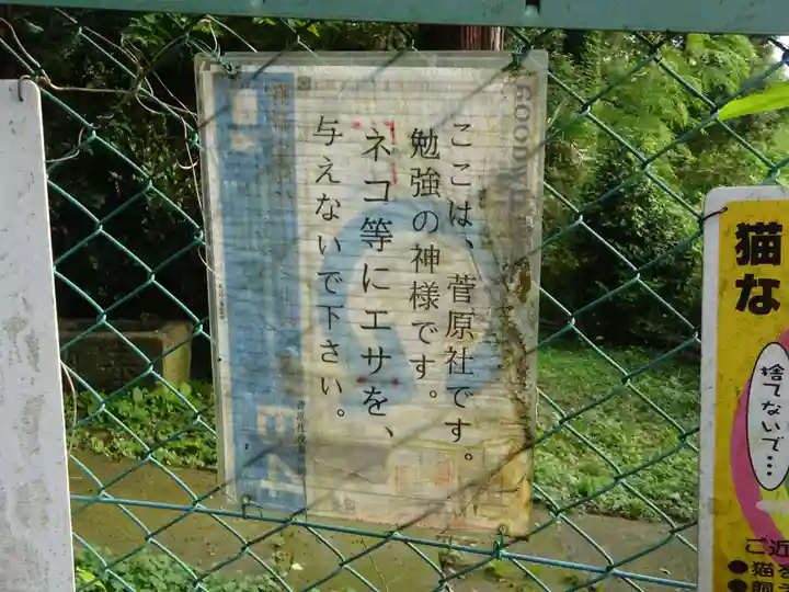 江川天神社のその他建物