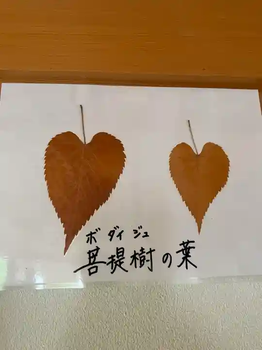 正寿院(京都府)