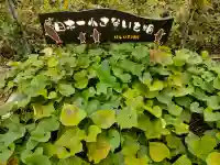 ほしいも神社の{uncategorized: "未分類", other: "その他", undefined: "問題あり", building: "その他建物", grave: "お墓", sacred_gate: "鳥居", guardian: "狛犬", statue: "像", buddha: "仏像", history: "歴史", nature: "自然", garden: "庭園", animal: "動物", pagoda: "塔", temizu: "手水舎", mountain_gate: "山門・神門", sanctuary: "本殿・本堂", subordinate: "末社・摂社", art: "芸術", scenery: "景色", jizo: "地蔵", ema: "絵馬", goshuin: "御朱印", omikuji: "おみくじ", items: "授与品その他", amulet: "お守り", goshuincho: "御朱印帳", eats: "食事", festival: "お祭り", votive_dance: "神楽", shichigosan: "七五三参", wedding: "結婚式", experience: "体験その他", initially: "初詣", around: "周辺", anti_infection: "感染症対策"}