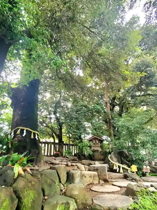 川越氷川神社の庭園