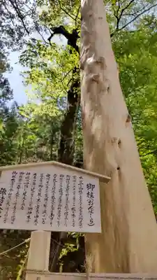 諏訪大社(長野県)