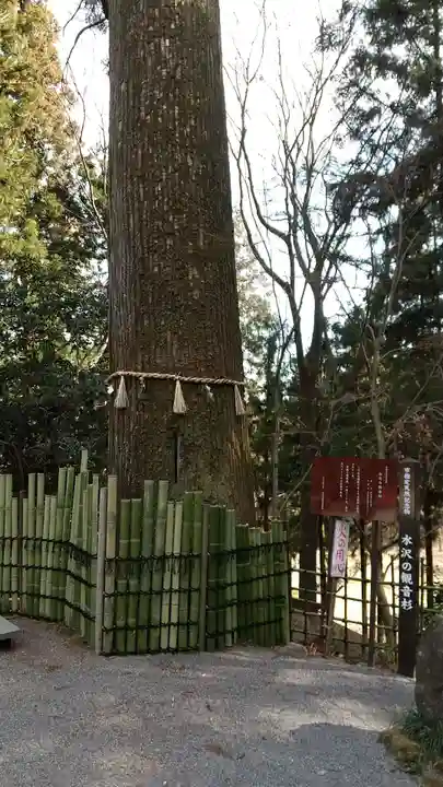 水澤寺(水澤観世音)の自然