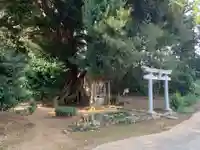 秀起霊神の鳥居