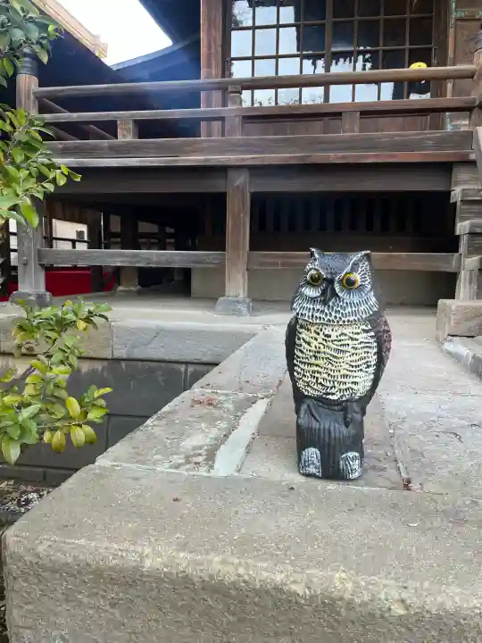 桜神宮の{uncategorized: "未分類", other: "その他", undefined: "問題あり", building: "その他建物", grave: "お墓", sacred_gate: "鳥居", guardian: "狛犬", statue: "像", buddha: "仏像", history: "歴史", nature: "自然", garden: "庭園", animal: "動物", pagoda: "塔", temizu: "手水舎", mountain_gate: "山門・神門", sanctuary: "本殿・本堂", subordinate: "末社・摂社", art: "芸術", scenery: "景色", jizo: "地蔵", ema: "絵馬", goshuin: "御朱印", omikuji: "おみくじ", items: "授与品その他", amulet: "お守り", goshuincho: "御朱印帳", eats: "食事", festival: "お祭り", votive_dance: "神楽", shichigosan: "七五三参", wedding: "結婚式", experience: "体験その他", initially: "初詣", around: "周辺", anti_infection: "感染症対策"}