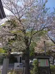 円光院(東京都)