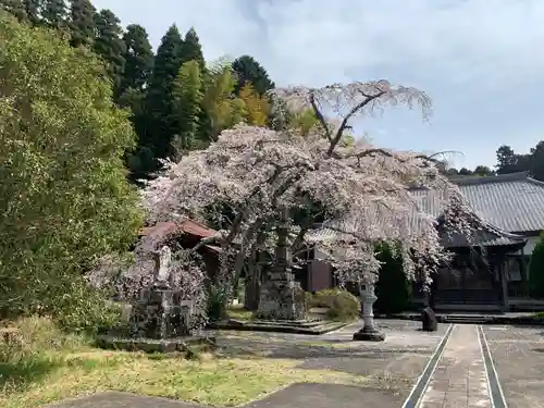 成願寺(千葉県)