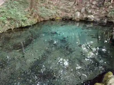 泉神社(茨城県)