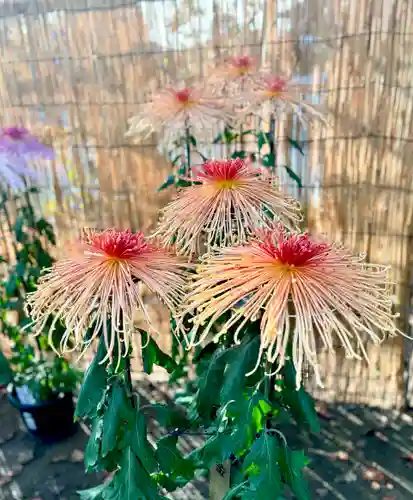 蚊里田八幡宮(長野県)