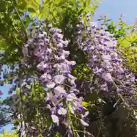 豊景神社の自然