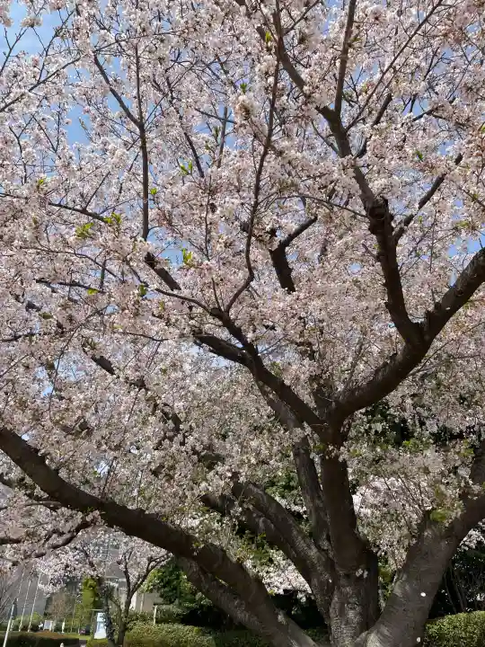 菊名神社(神奈川県)