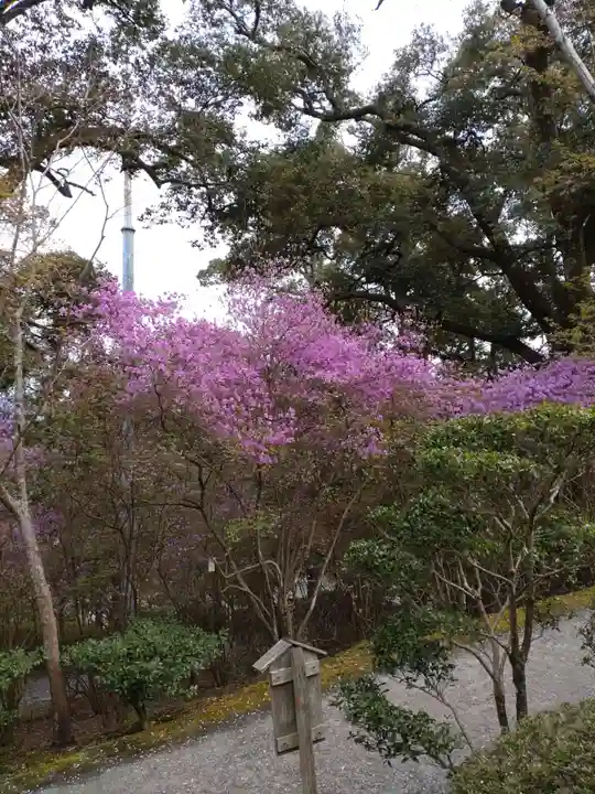 石山寺(滋賀県)