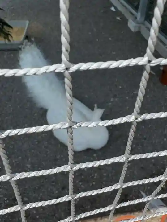 進雄神社(群馬県)