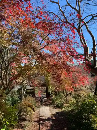 龍谷院の山門