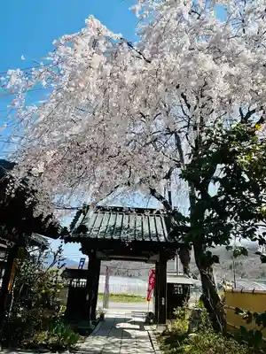 長光寺(長野県)