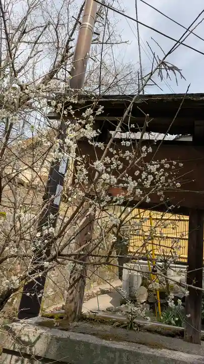 大豊神社(京都府)