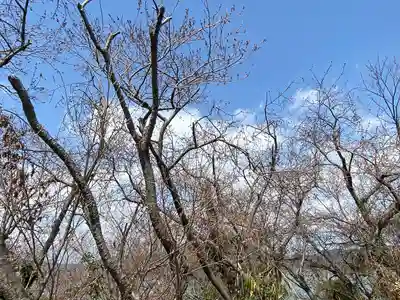 世界第一八百萬神之御殿　寄島分殿(岡山県)