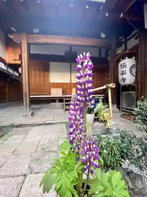 極楽寺(京都府)