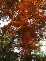 高野山霊寳館(和歌山県)