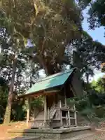 熊野神社(千葉県)