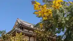 大松禅寺(京都府)