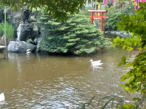 平塚八幡宮(神奈川県)