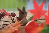 阿邪訶根神社の手水舎