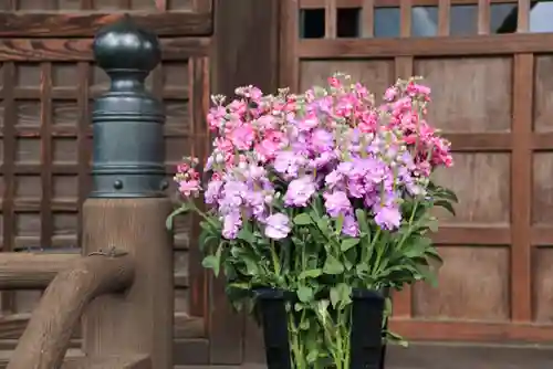 阿邪訶根神社のその他建物