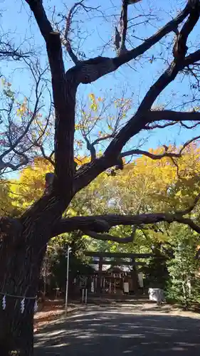 相馬神社(北海道)