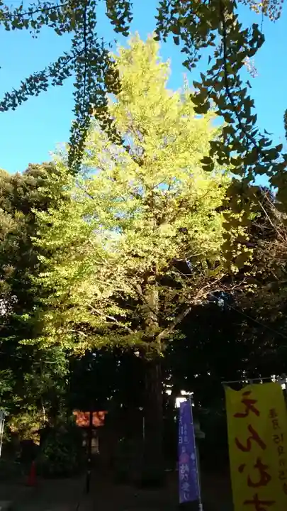 渋谷氷川神社(東京都)