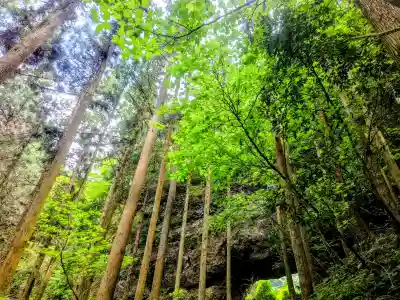 上色見熊野座神社(熊本県)