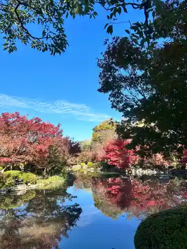 東寺（教王護国寺）(京都府)
