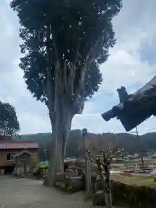 光福寺(三重県)