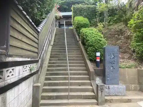 悟心寺(神奈川県)