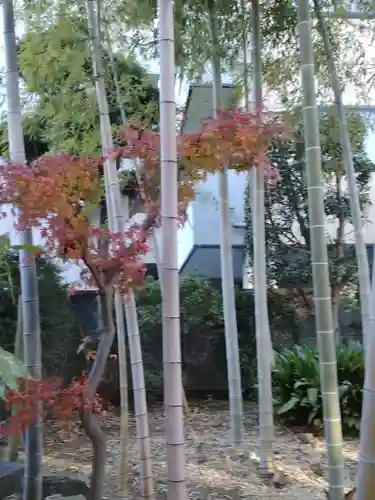 吉祥院(東京都)