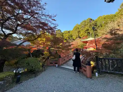 醍醐寺(京都府)