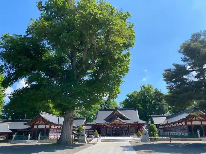 北海道護國神社(北海道)