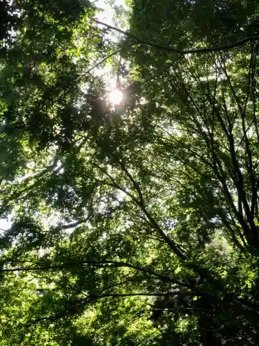 枚岡神社の自然